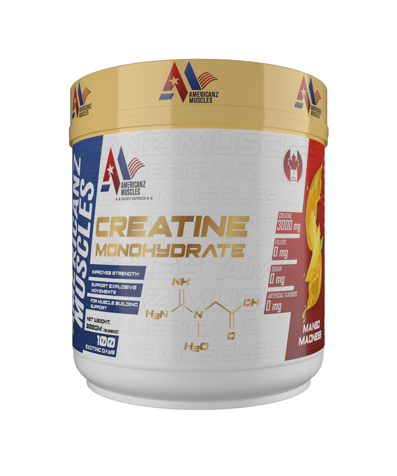 AmericanZ Muscles Creatine 300g
