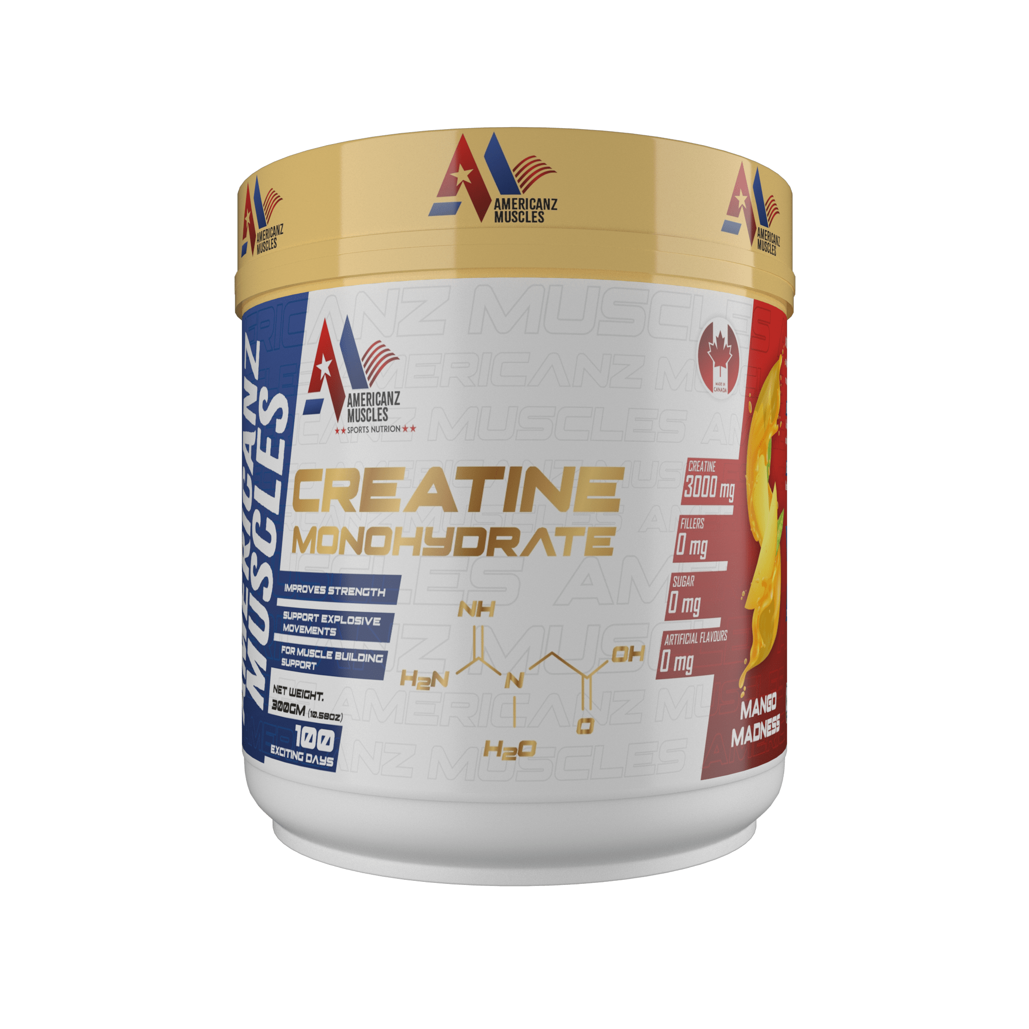 AmericanZ Muscles Creatine 300g