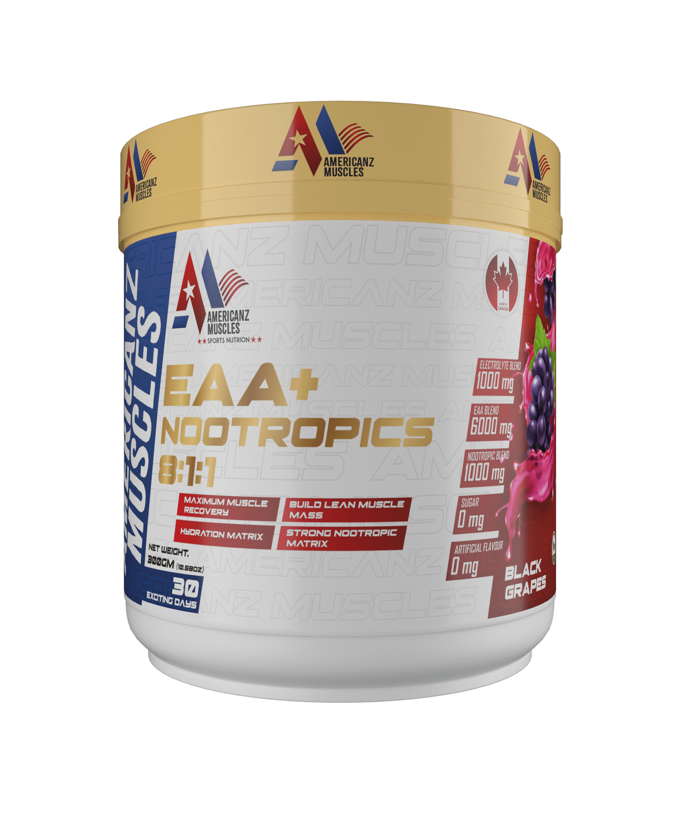 Americanz Muscles EAA+ Nootropics 8:1:1 300g