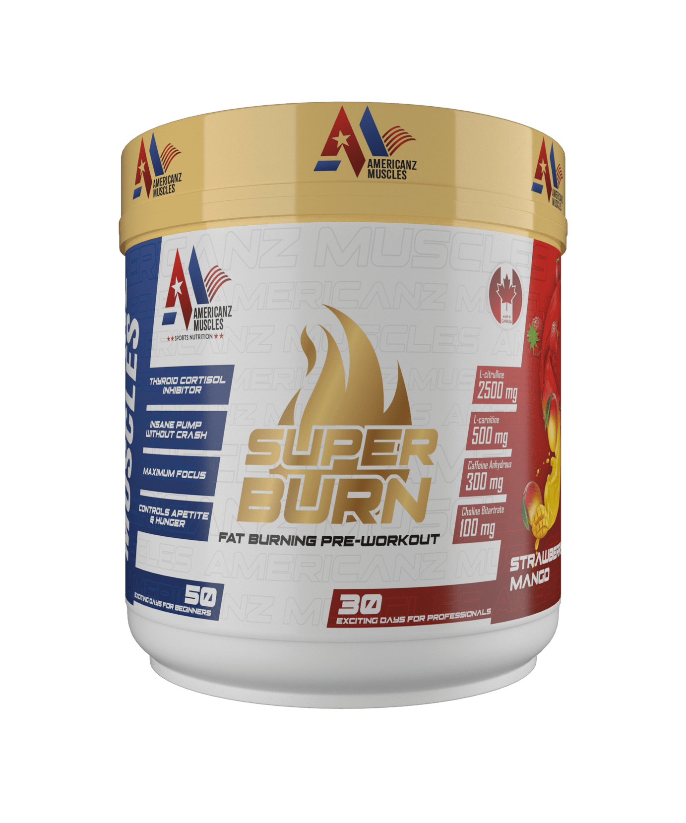 Americanz Muscles Super Burn Fat Burning Pre Workout 300g