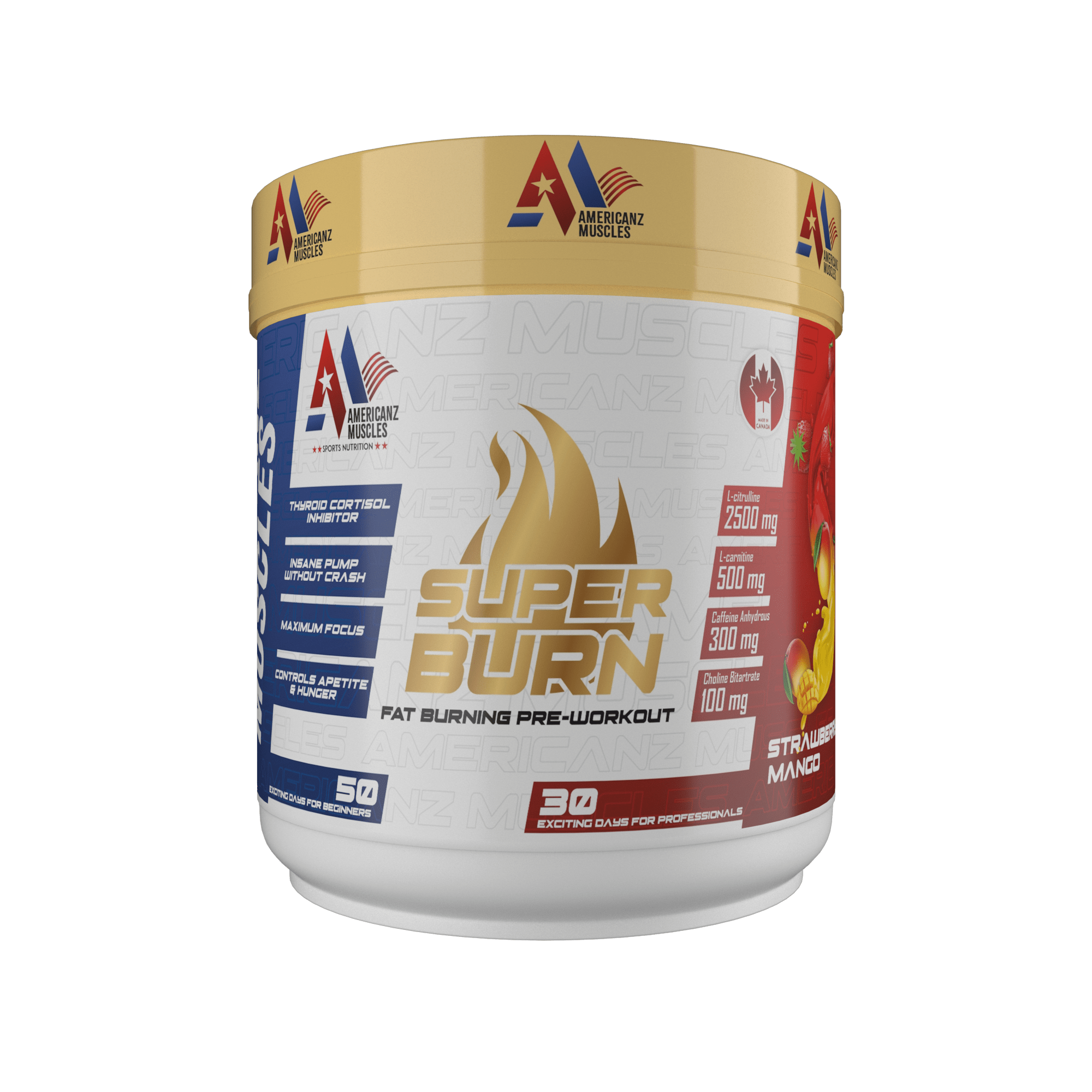 Americanz Muscles Super Burn Fat Burning Pre Workout 300g