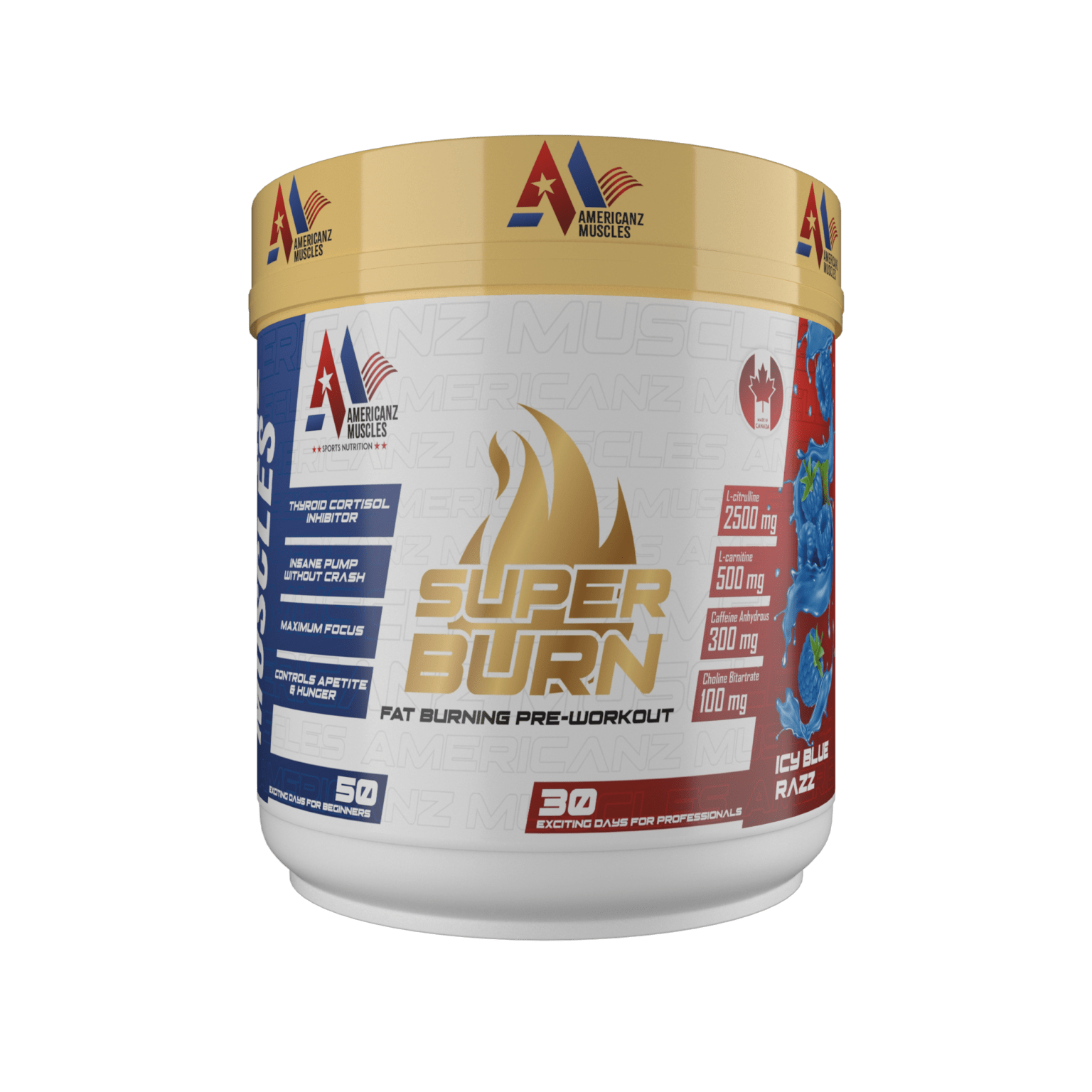 Americanz Muscles Super Burn Fat Burning Pre Workout 300g