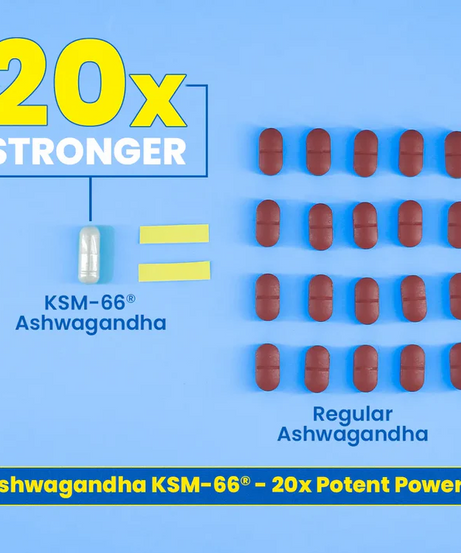 Fast&Up Ashwagandha