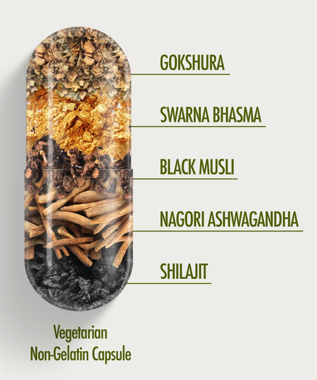 Kapiva Ashwagandha Gold