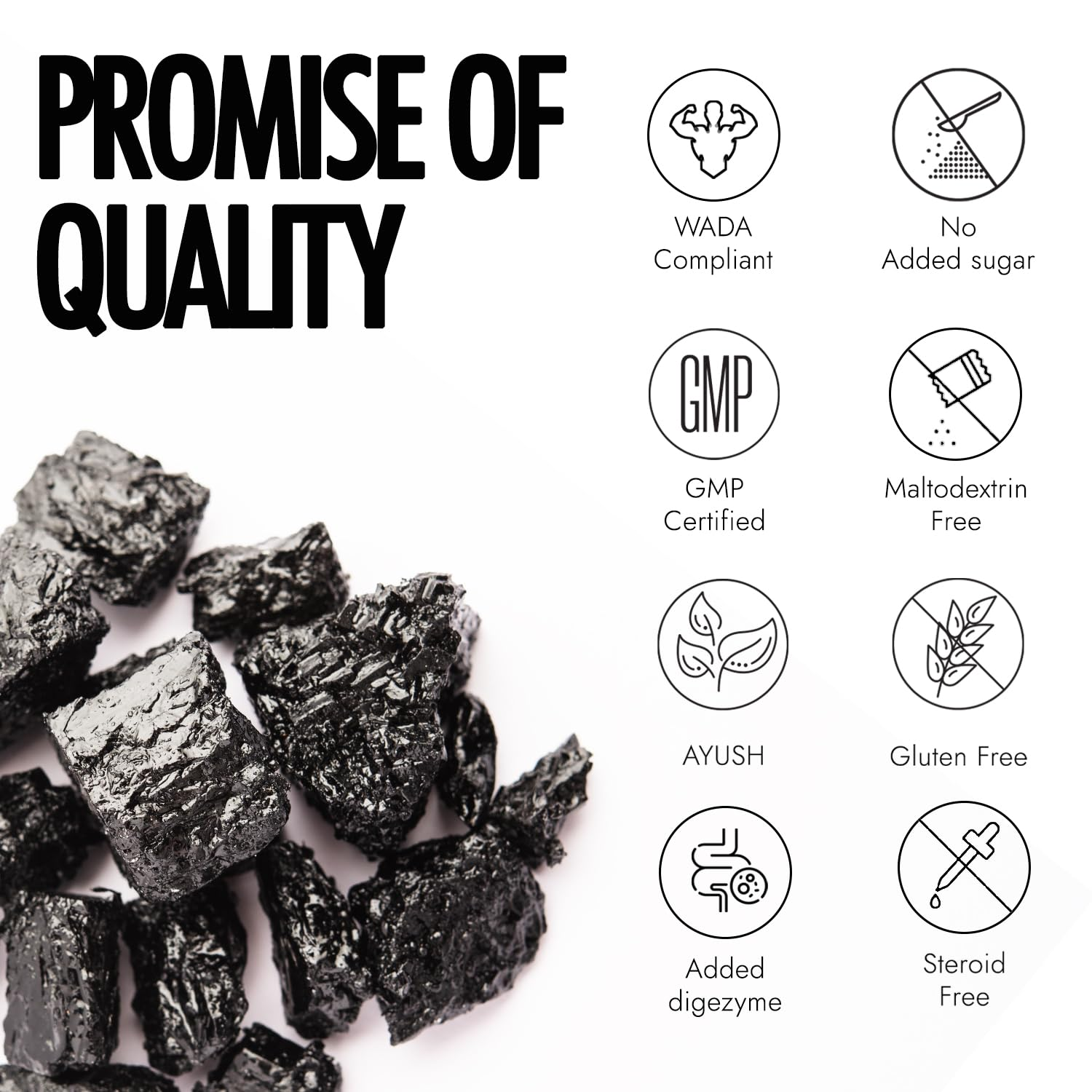 Kapiva Testofuel shilajit whey 1kg