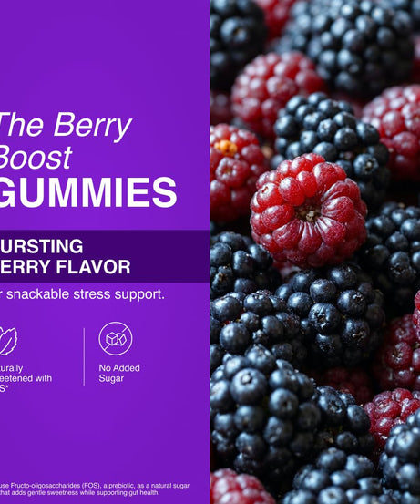 NatXtra Ashwaghanda berry boost Gummies