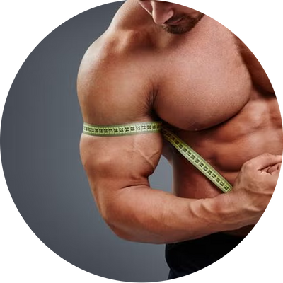 Muscle Gain