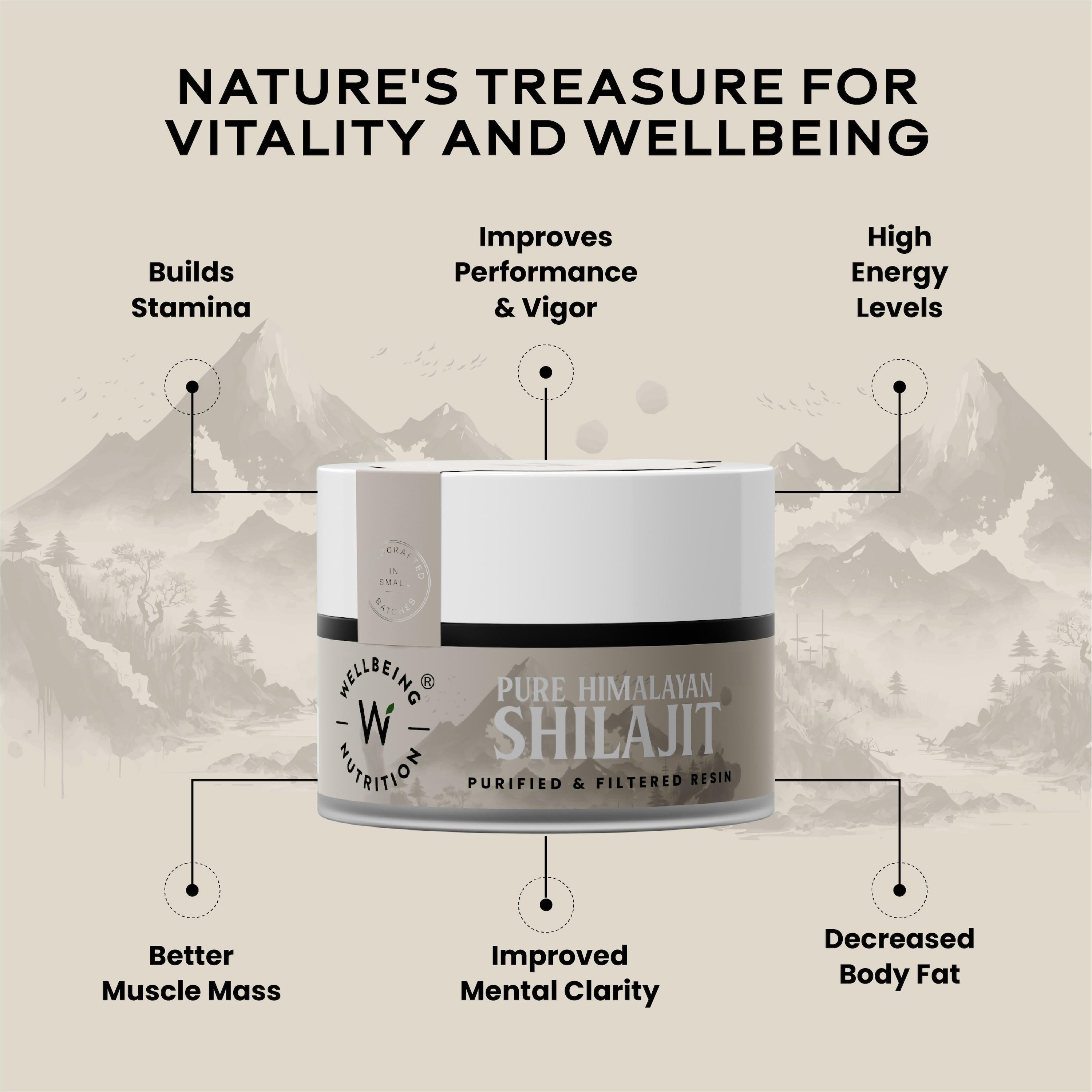 Wellbeing Nutrition Shilajit 10g