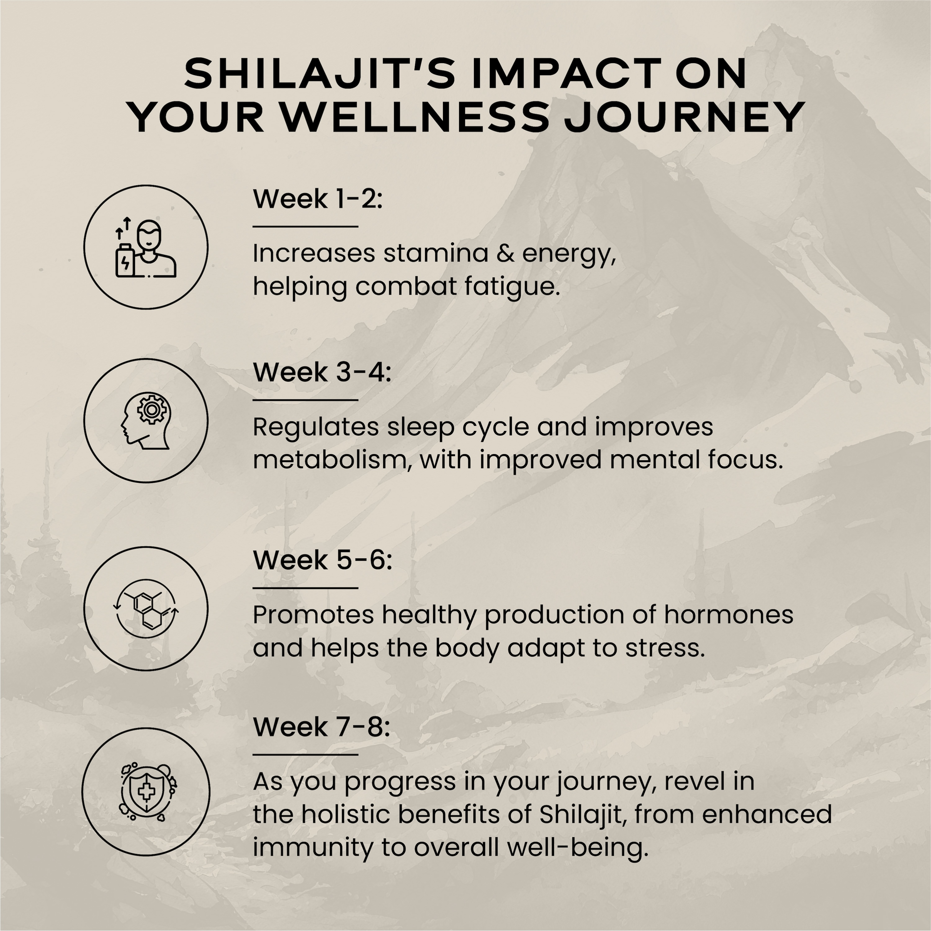 Wellbeing Nutrition Shilajit 10g