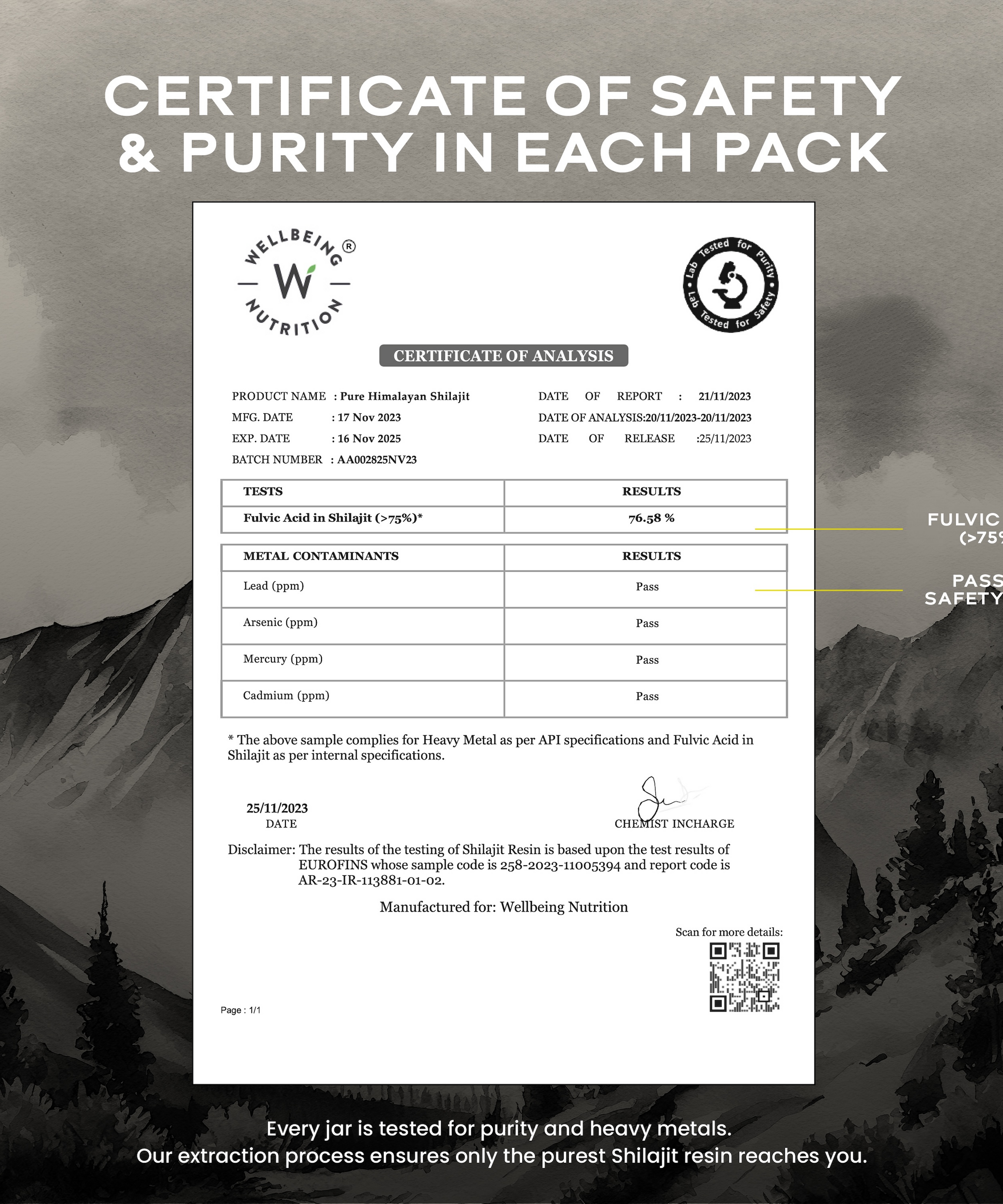 Wellbeing Nutrition Shilajit 10g