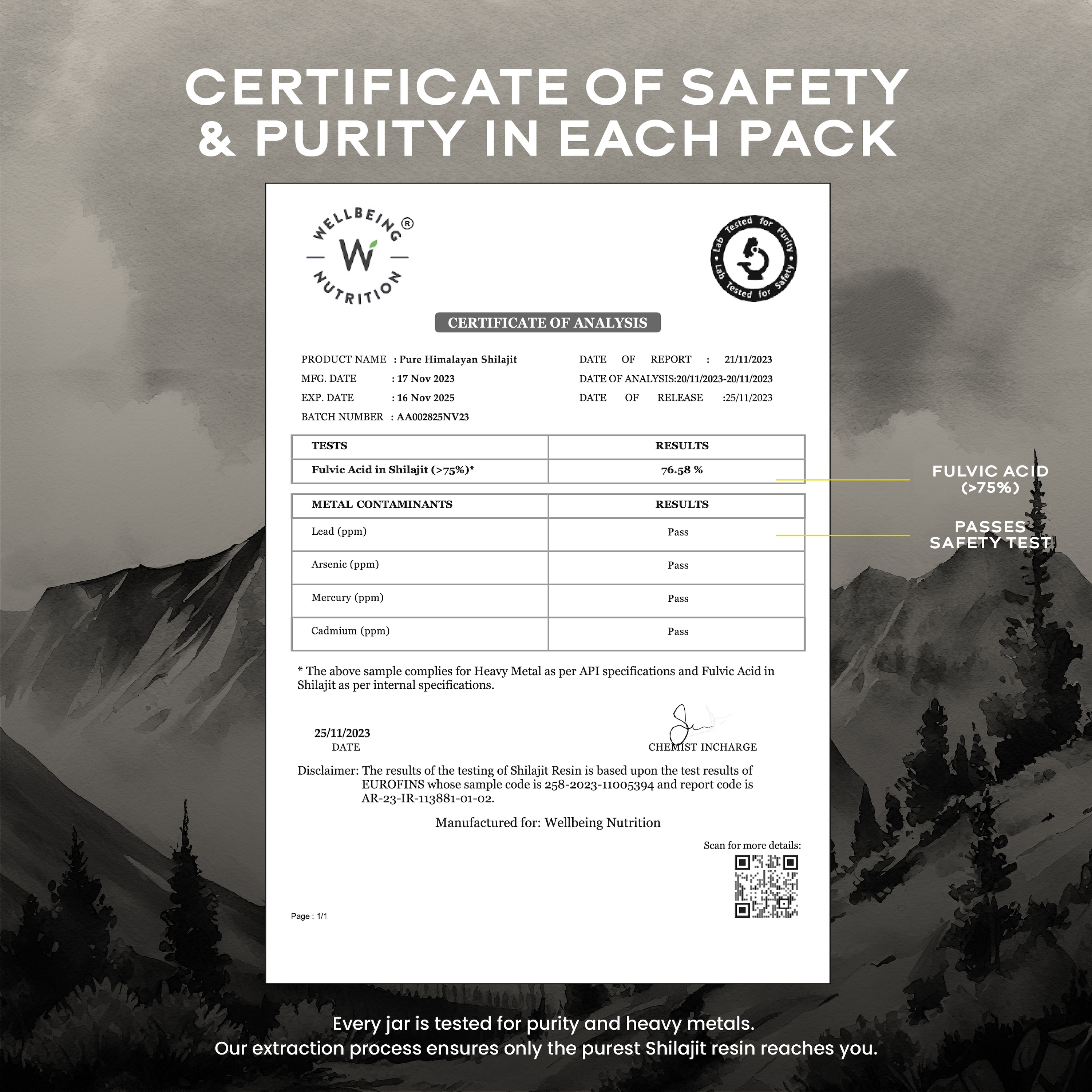 Wellbeing Nutrition Shilajit 10g