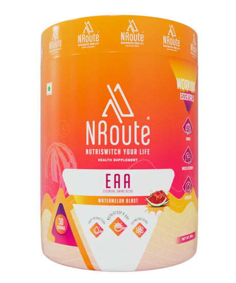 N Route EAA 390g