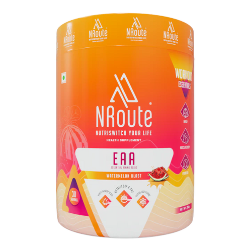 N Route EAA 390g