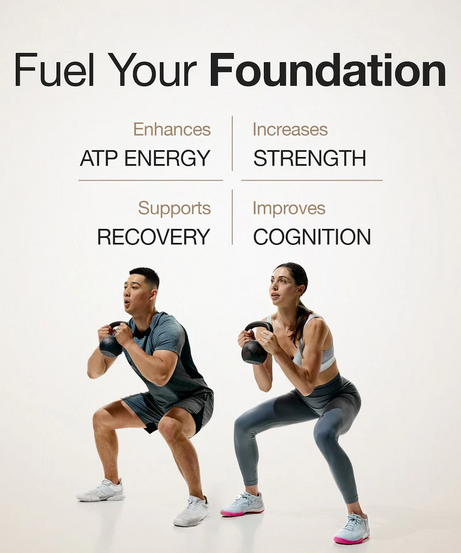 Wellbeing Nutrition Micronized Creatine Monohydrate With Taurine 100g