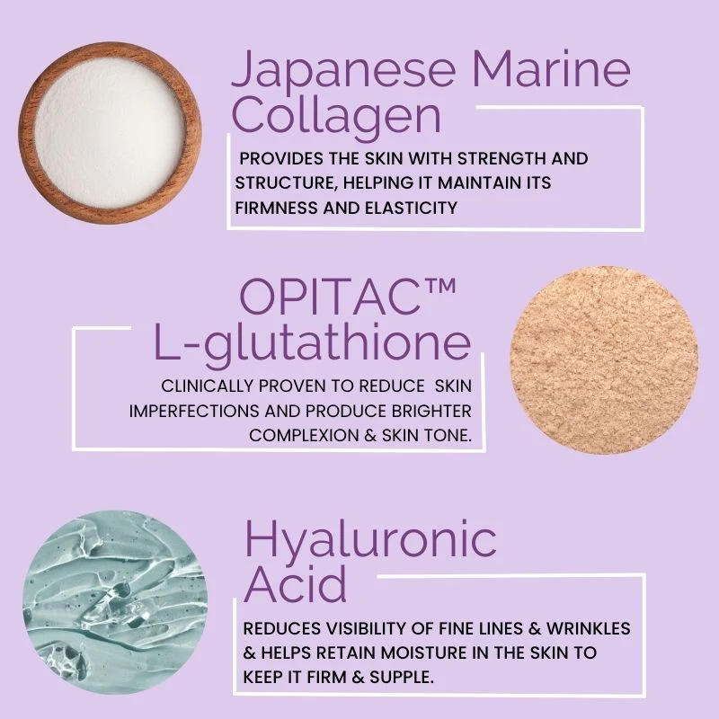 Wellbeing Nutrition Skin Fuel Bioactive Skin Peptides