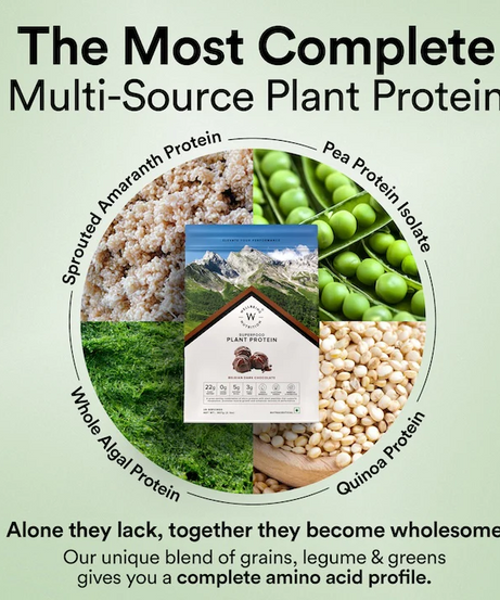 Wellbeing Nutrition Superfood Plant Protein 500g