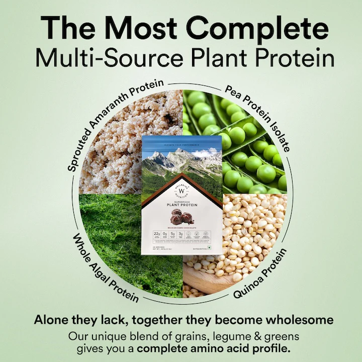 Wellbeing Nutrition Superfood Plant Protein 500g