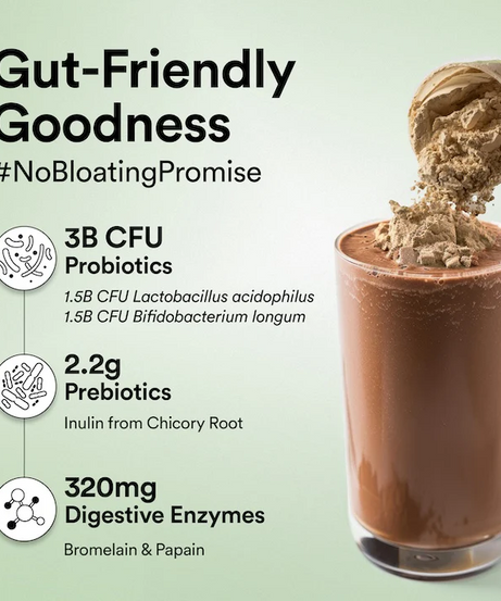 Wellbeing Nutrition Superfood Plant Protein 500g