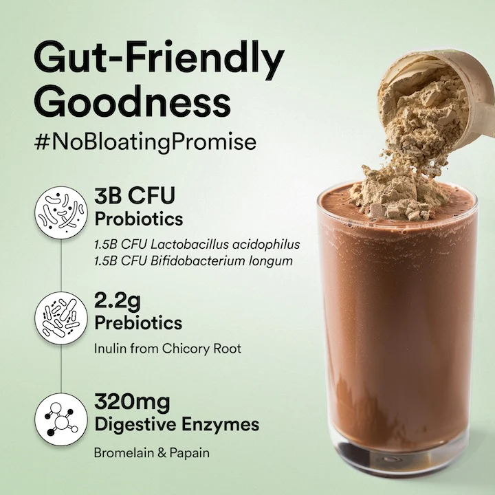 Wellbeing Nutrition Superfood Plant Protein 500g