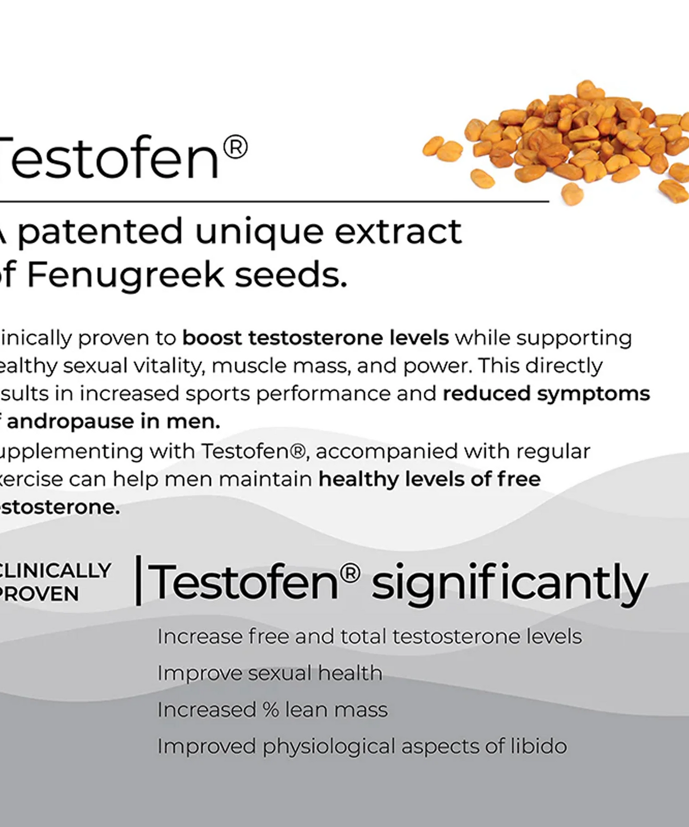 Wellbeing Nutrition Melts Into Testo Power Testofen + Himalayan Shilajit 30strips