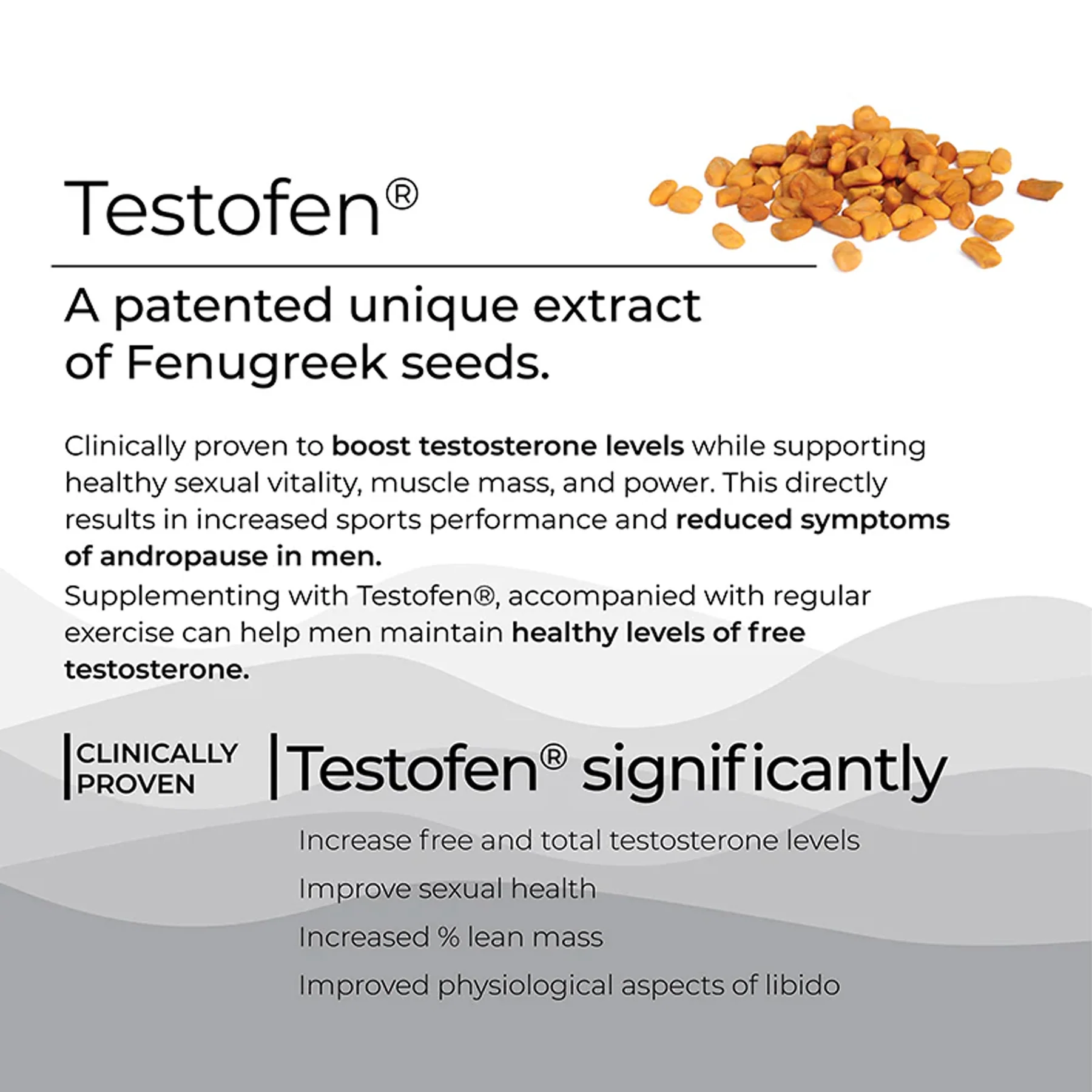 Wellbeing Nutrition Melts Into Testo Power Testofen + Himalayan Shilajit 30strips