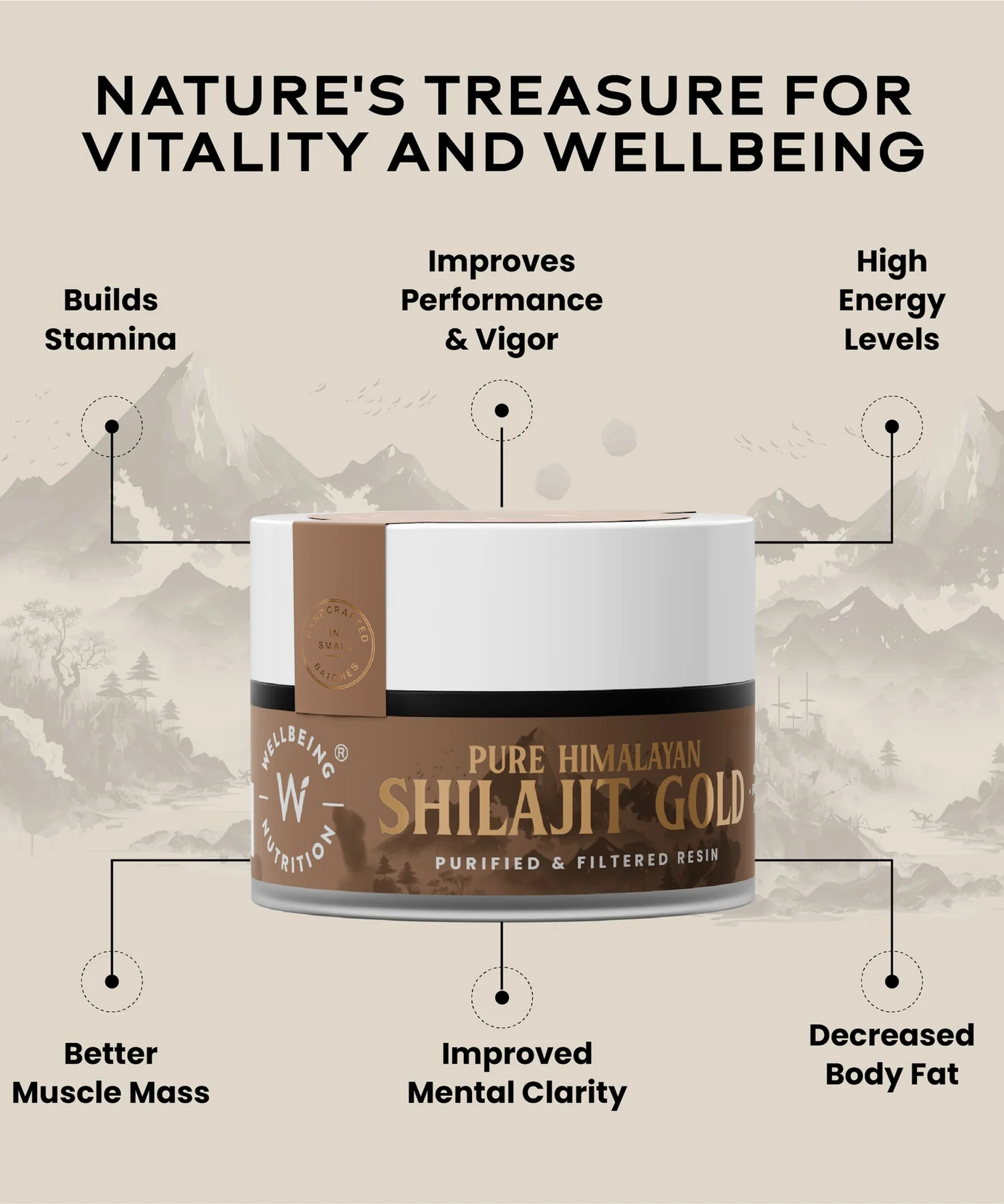 Wellbeing Nutrition Shilajit Gold 10g