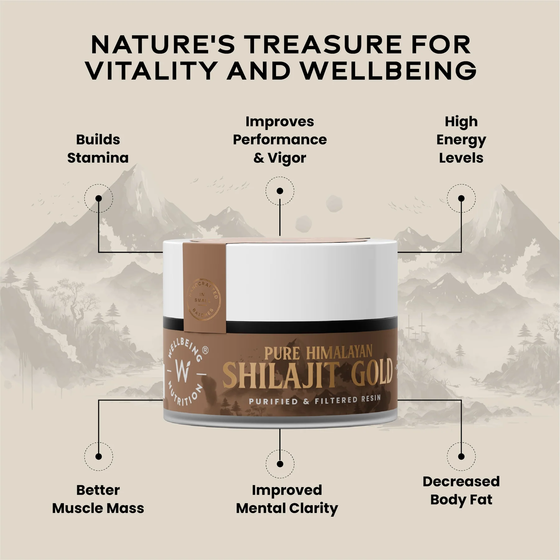 Wellbeing Nutrition Shilajit Gold 10g