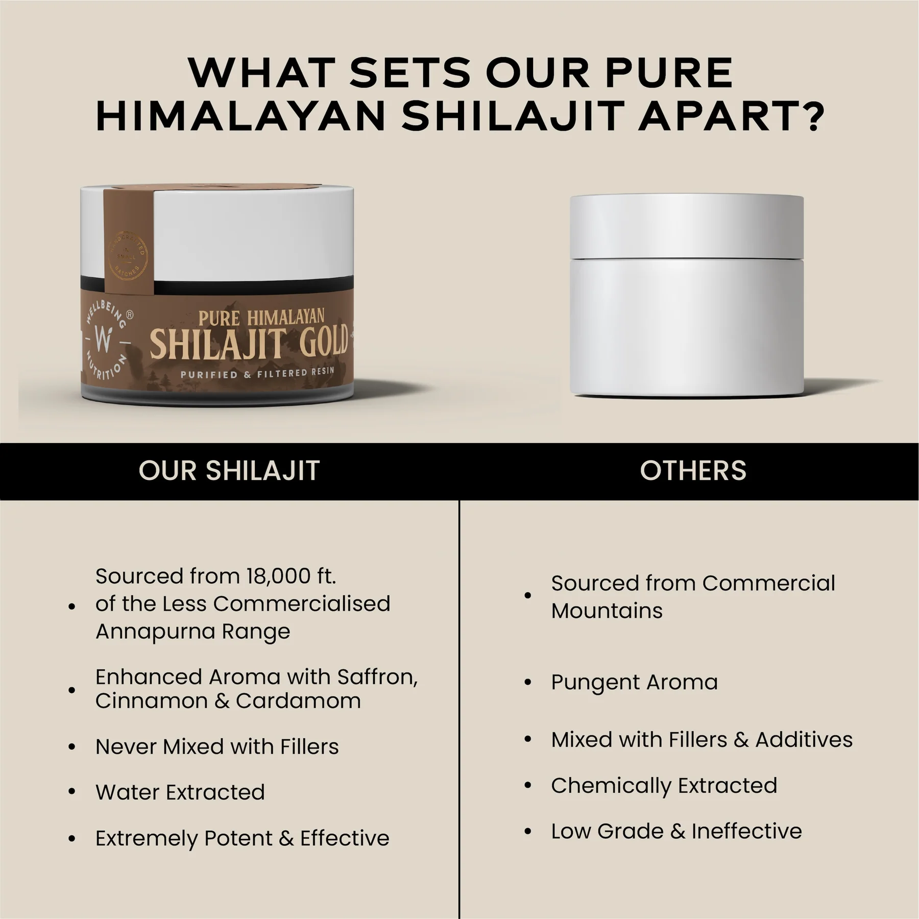 Wellbeing Nutrition Shilajit Gold 10g