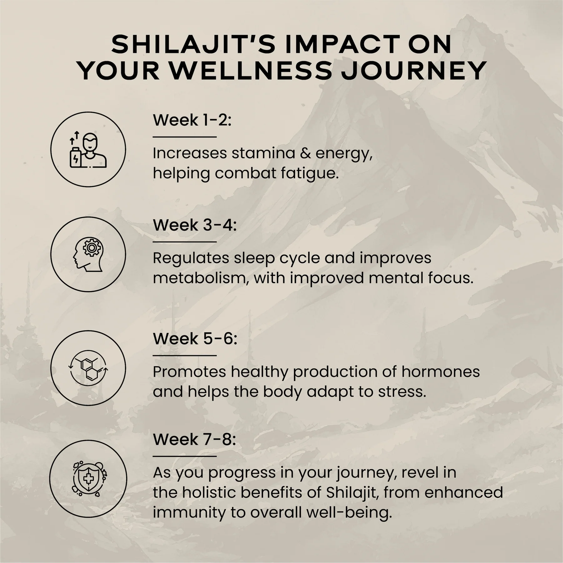 Wellbeing Nutrition Shilajit Gold 10g