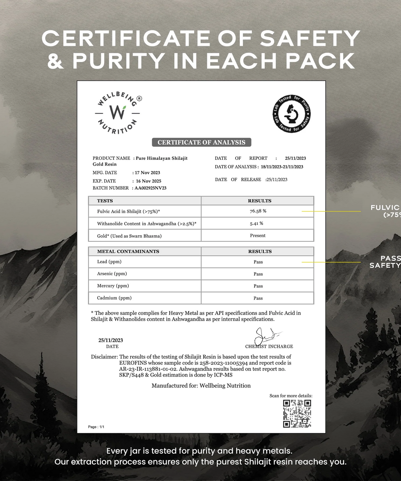 Wellbeing Nutrition Shilajit Gold 10g