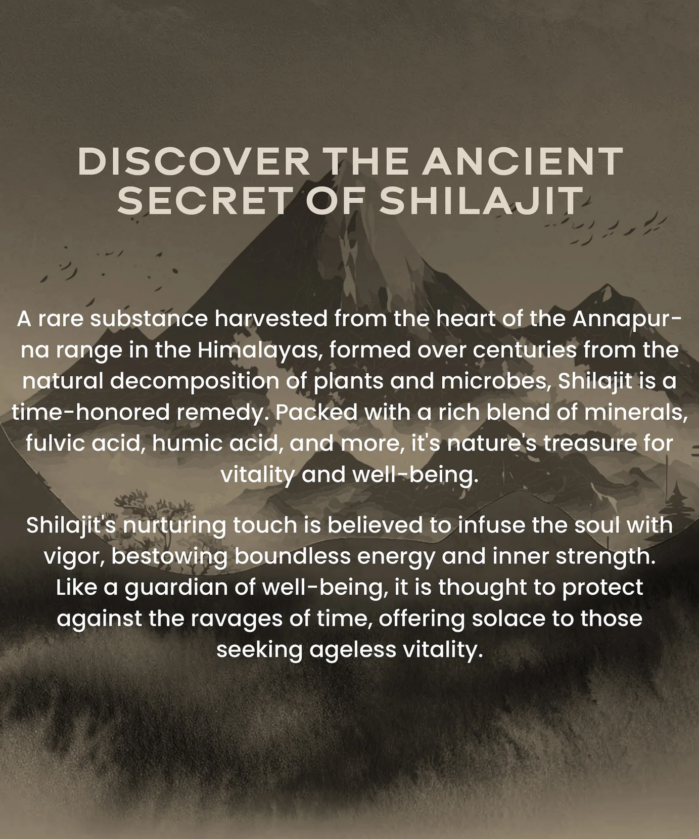 Wellbeing Nutrition Shilajit Gold 20g