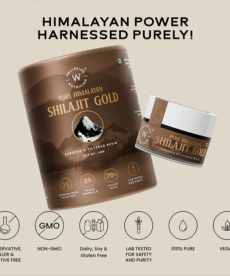 Wellbeing Nutrition Shilajit Gold 20g