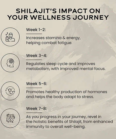 Wellbeing Nutrition Shilajit 20g