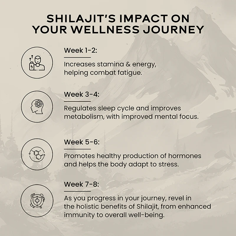 Wellbeing Nutrition Shilajit 20g