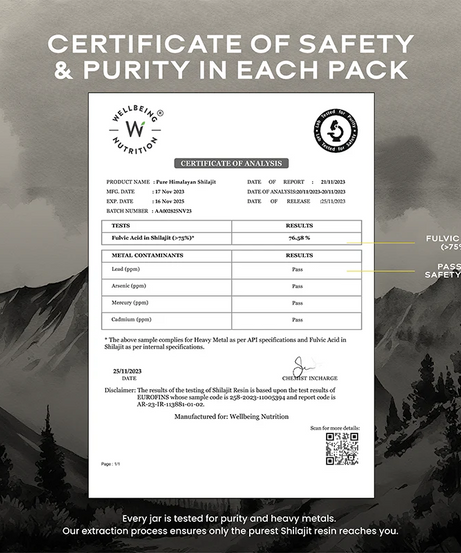 Wellbeing Nutrition Shilajit 20g