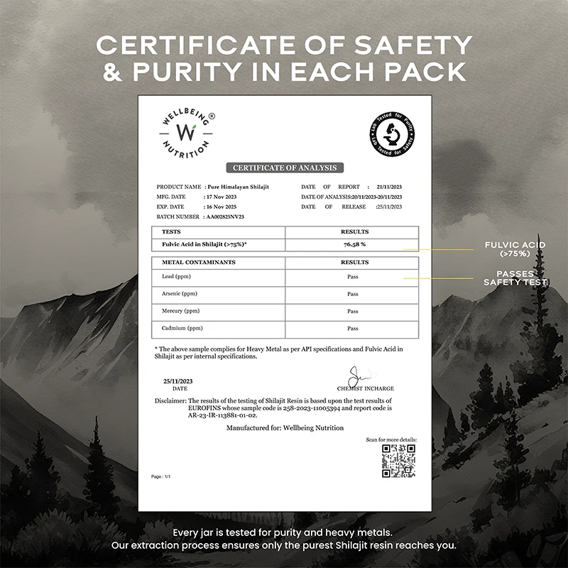 Wellbeing Nutrition Shilajit 20g