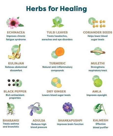 Wellbeing Nutrition Grandma Kadha