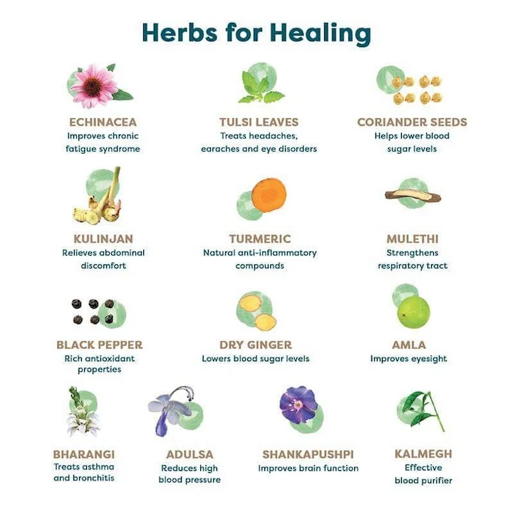 Wellbeing Nutrition Grandma Kadha