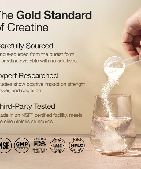 Wellbeing Nutrition Creatine + HCl 100g