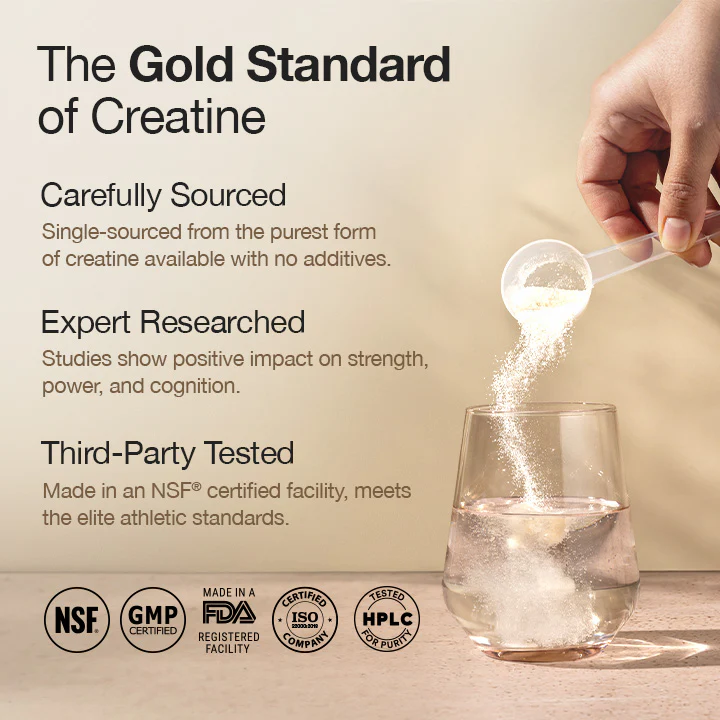 Wellbeing Nutrition Creatine + HCl 100g