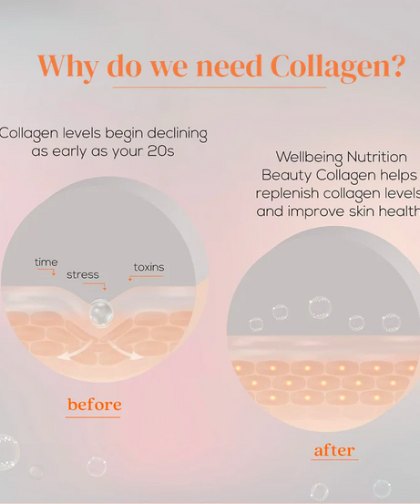 Wellbeing Nutrition Collagen Mango Peach Flavour