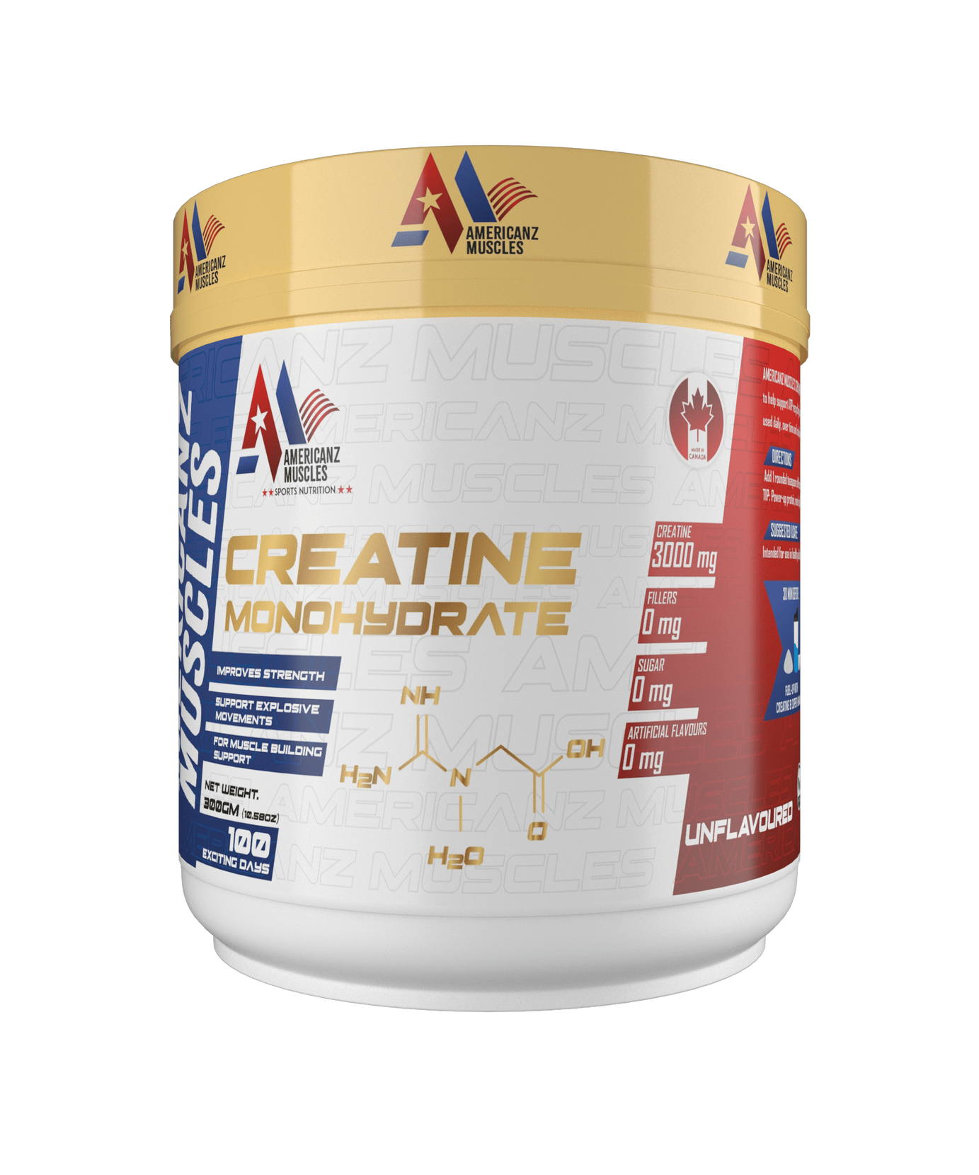 AmericanZ Muscles Creatine 300g
