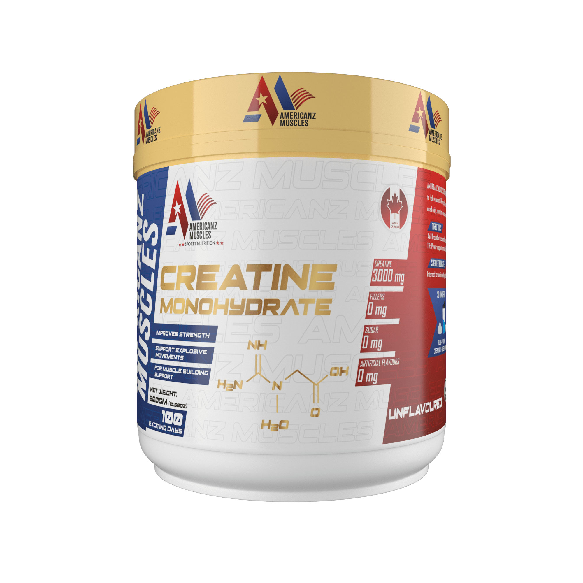 AmericanZ Muscles Creatine 300g