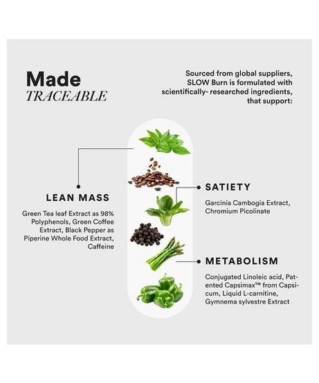 Wellbeing Nutrition Slow Burn