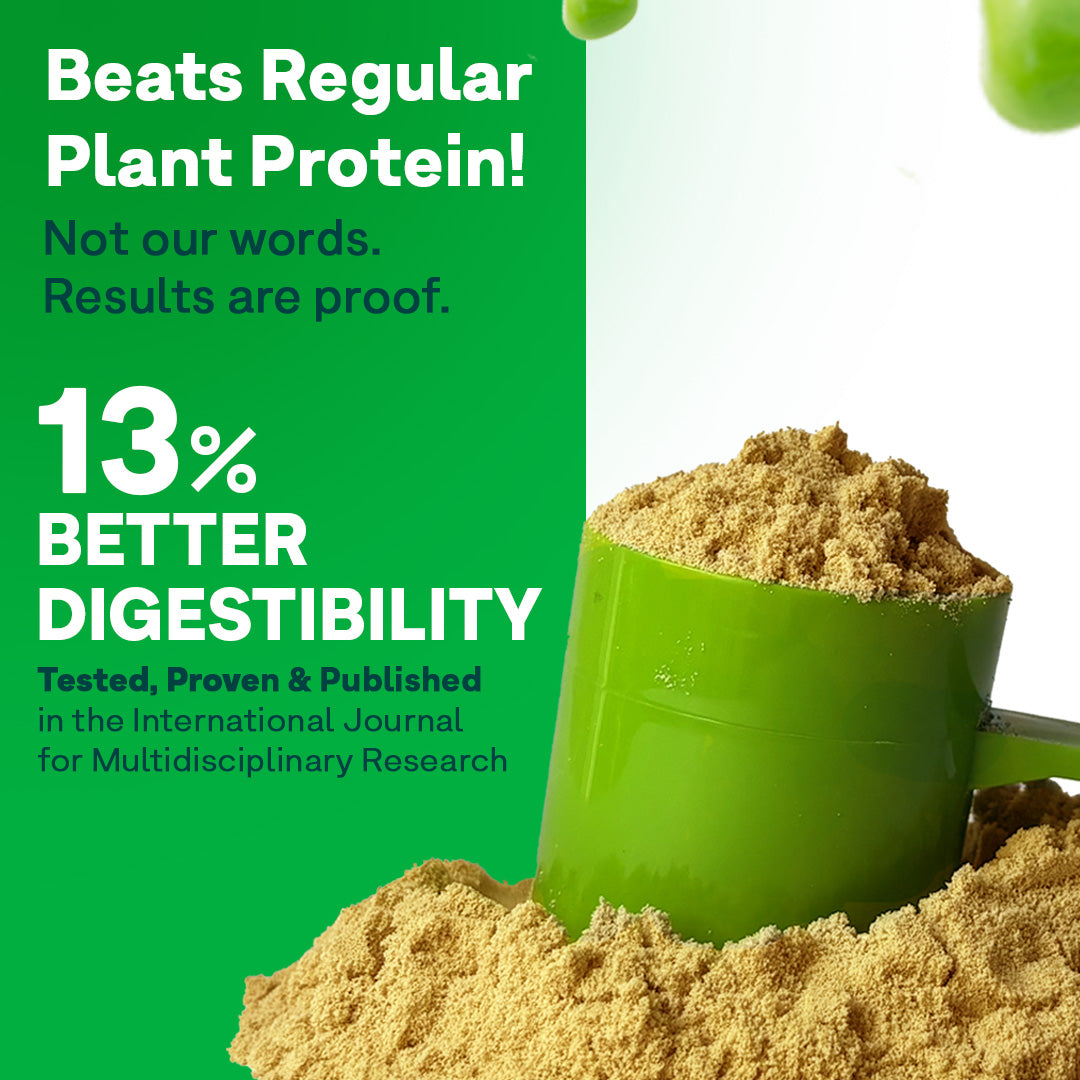 Oziva Plant Protein 500g