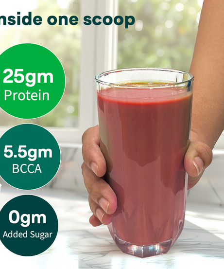 Oziva Plant Protein 500g
