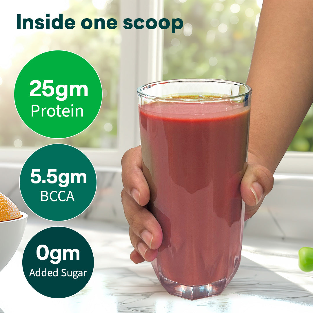 Oziva Plant Protein 500g