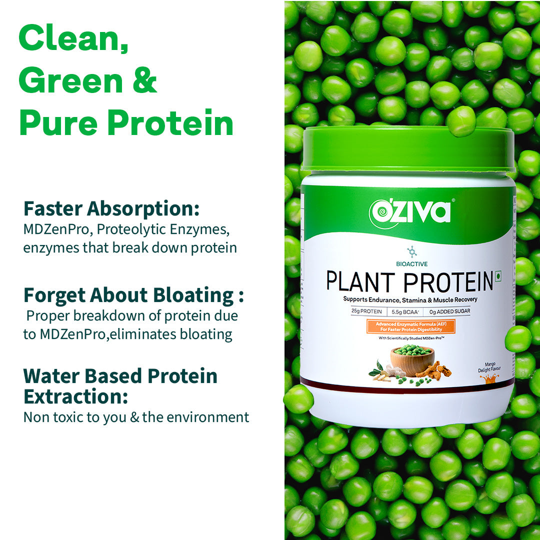 Oziva Plant Protein 500g