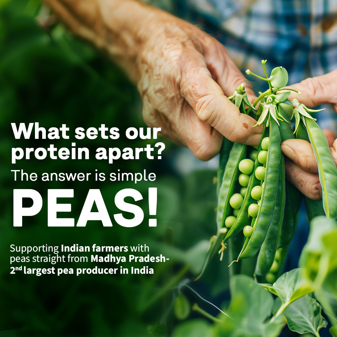 Oziva Plant Protein 500g