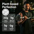 Wellbeing Nutrition Superfood Plant Protein 500g